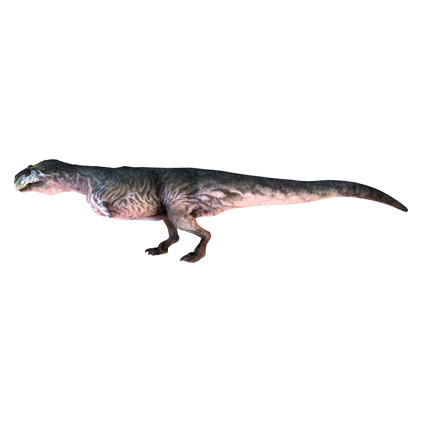 Majunlong (3D animated model)