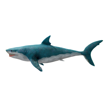 Megalodon Shark (3D animated model)