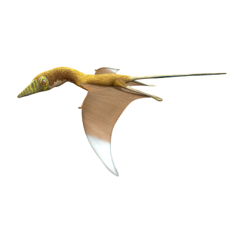 Sodslong (3D animated model)