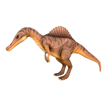Siamese Dragon (3D animated model)