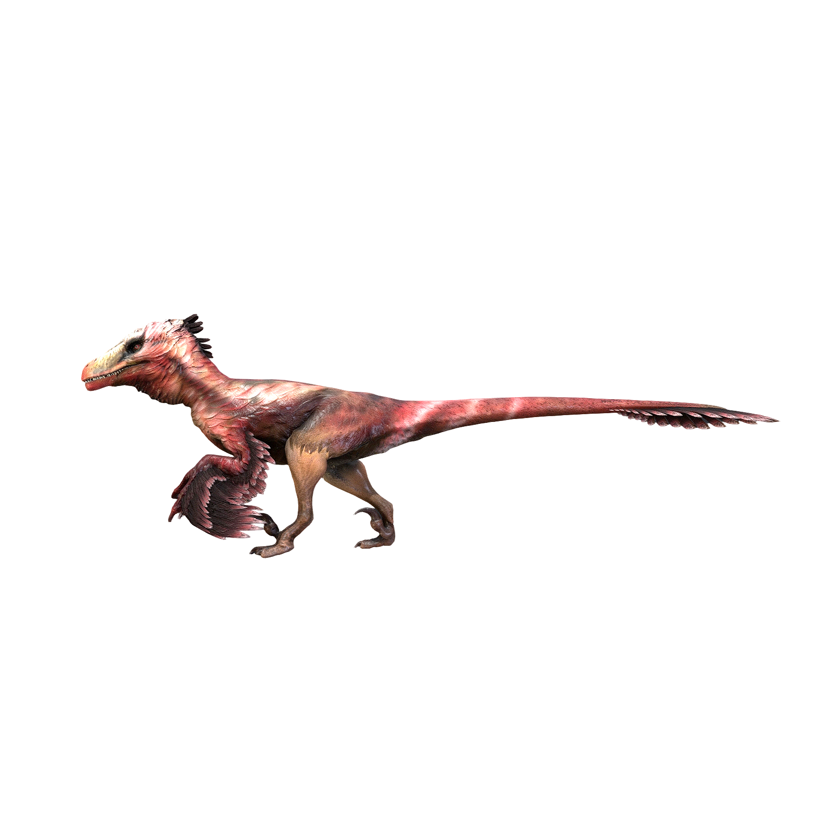 Raptor (3D animation model)
