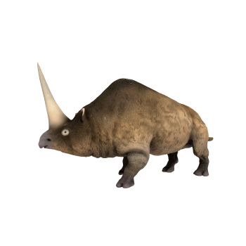 Rhinoceros (3D animated model)
