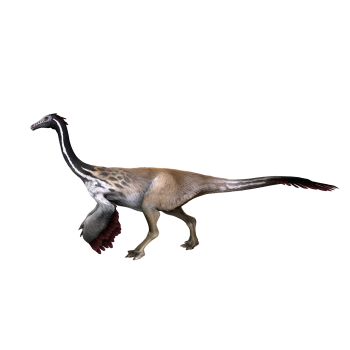 Like a Chicken Dragon (3D animated model)