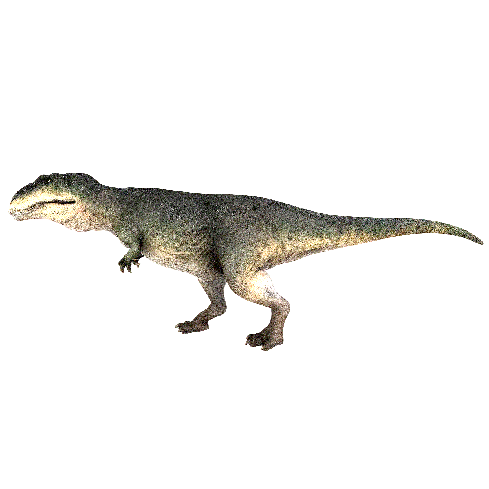 Southern Behemoth Dragon (3D animated model)