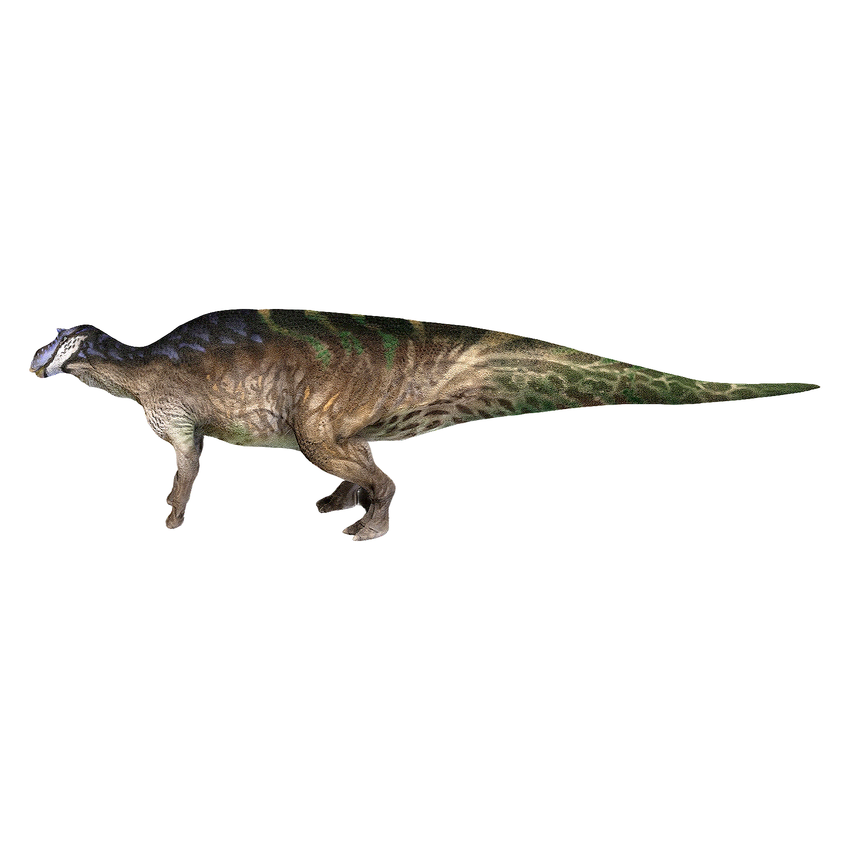 Mother Dragon (3D animated model)