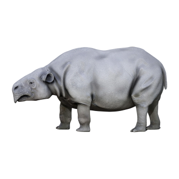 Arrow Tooth Beast (3D Animated Model)
