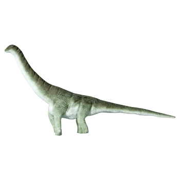 Argentine Dragon (3D animated model)