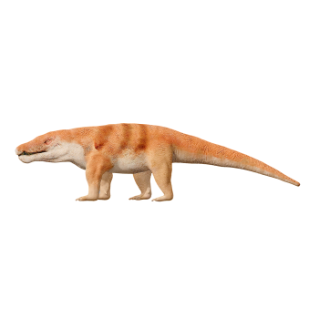Balu crocodile (3D animated model)