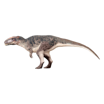Sharktooth Dragon (3D animated model)