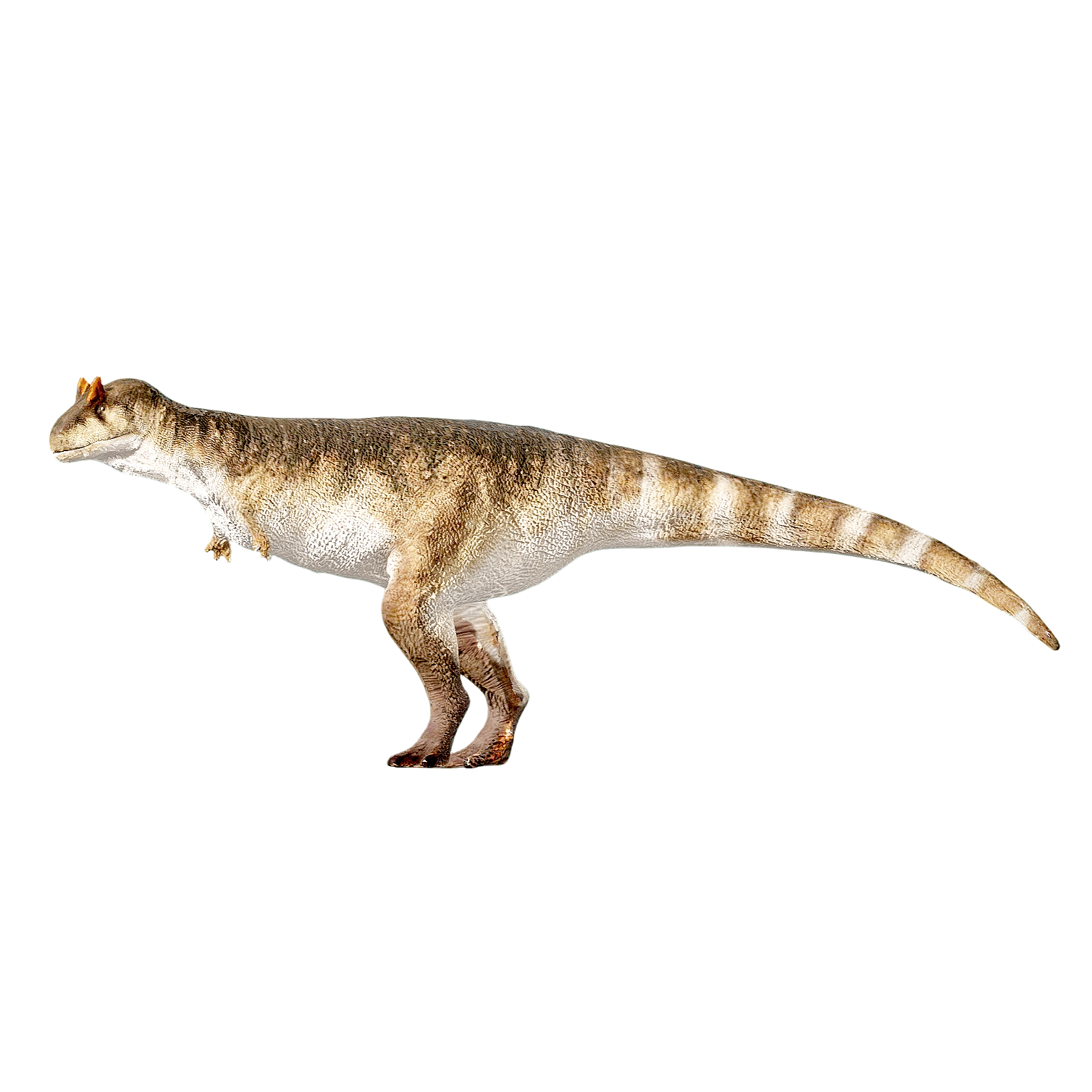 Carnivorous Beef Dragon (3D animated model)