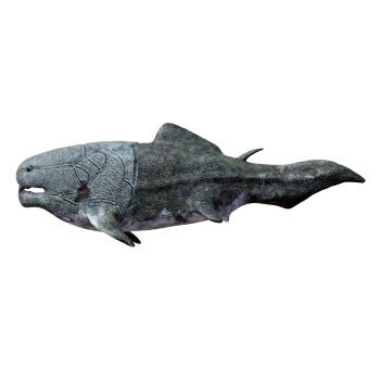 Fear of Fish (3D animated model)