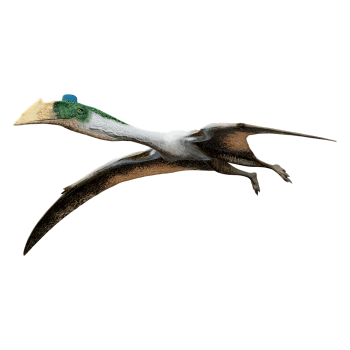 Wind God Pterosaur (3D animated model)