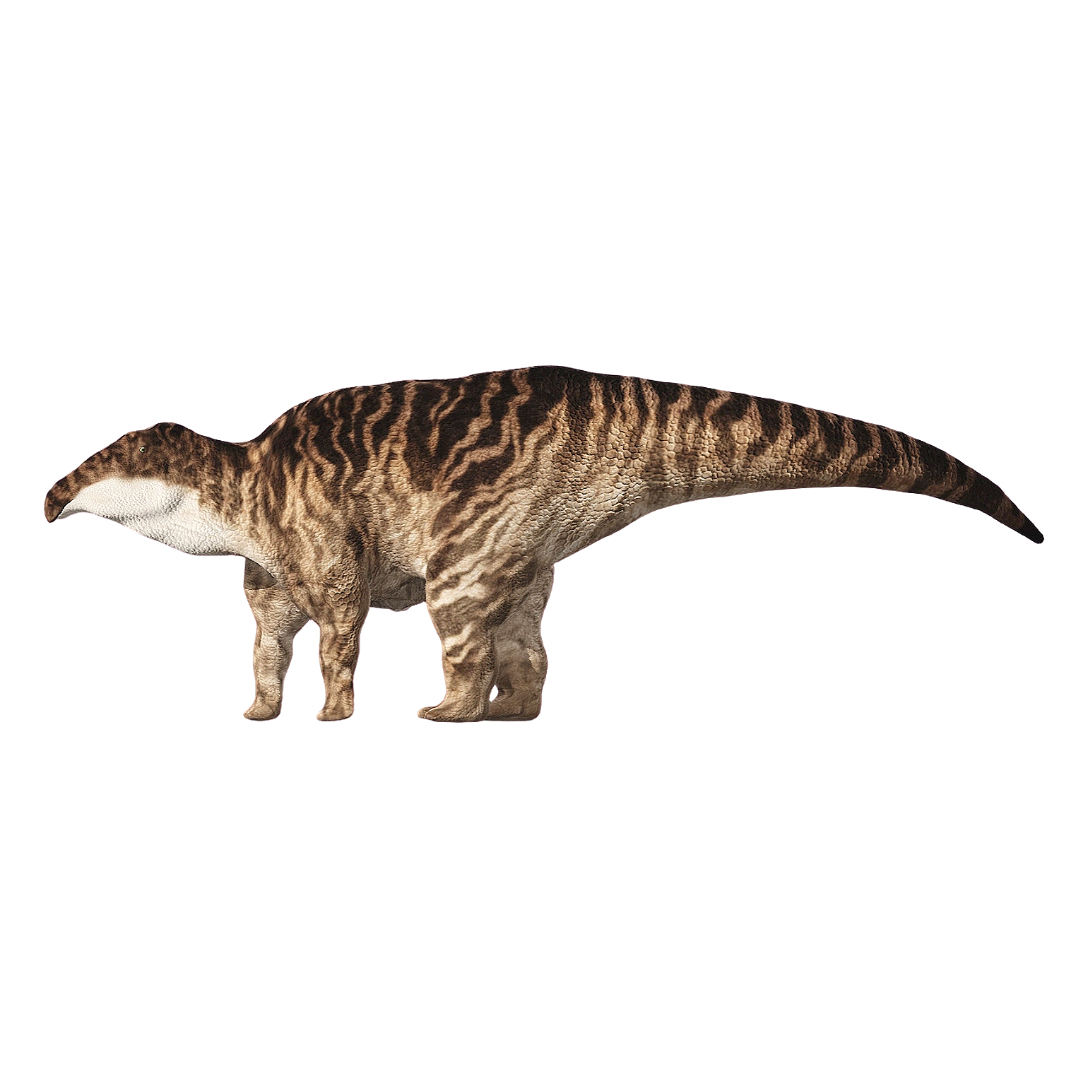 Shandong Dragon (3D animation model)
