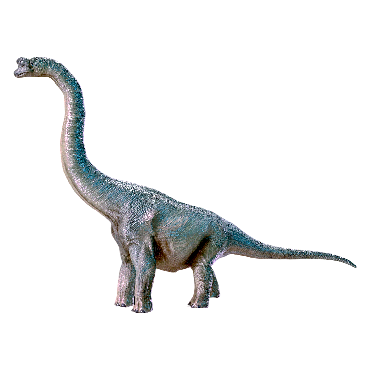 Brachiosaurus (3D animated model)