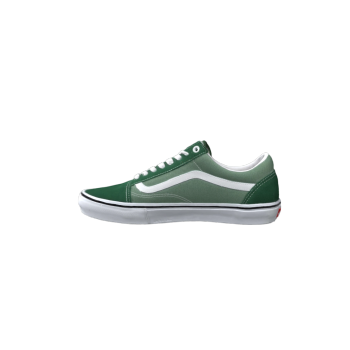 skateboard shoes
