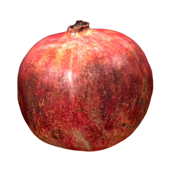 Pomegranate