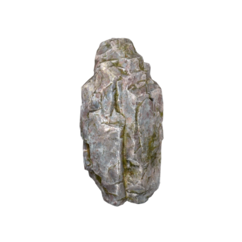 Moss-covered rock