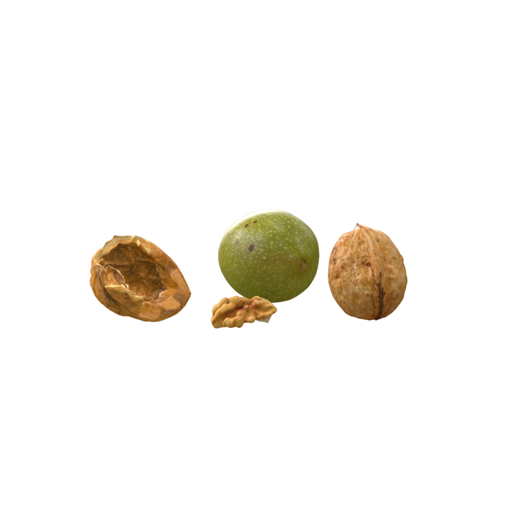 walnut combination
