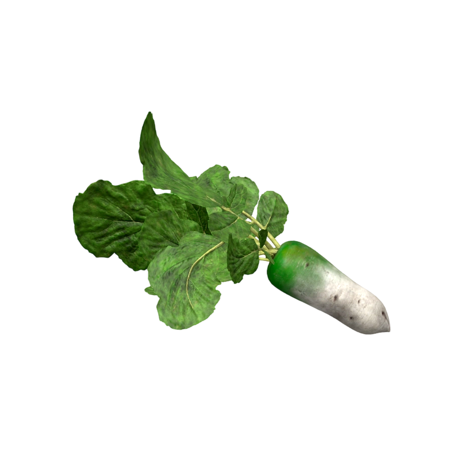 White Radish with Leaves