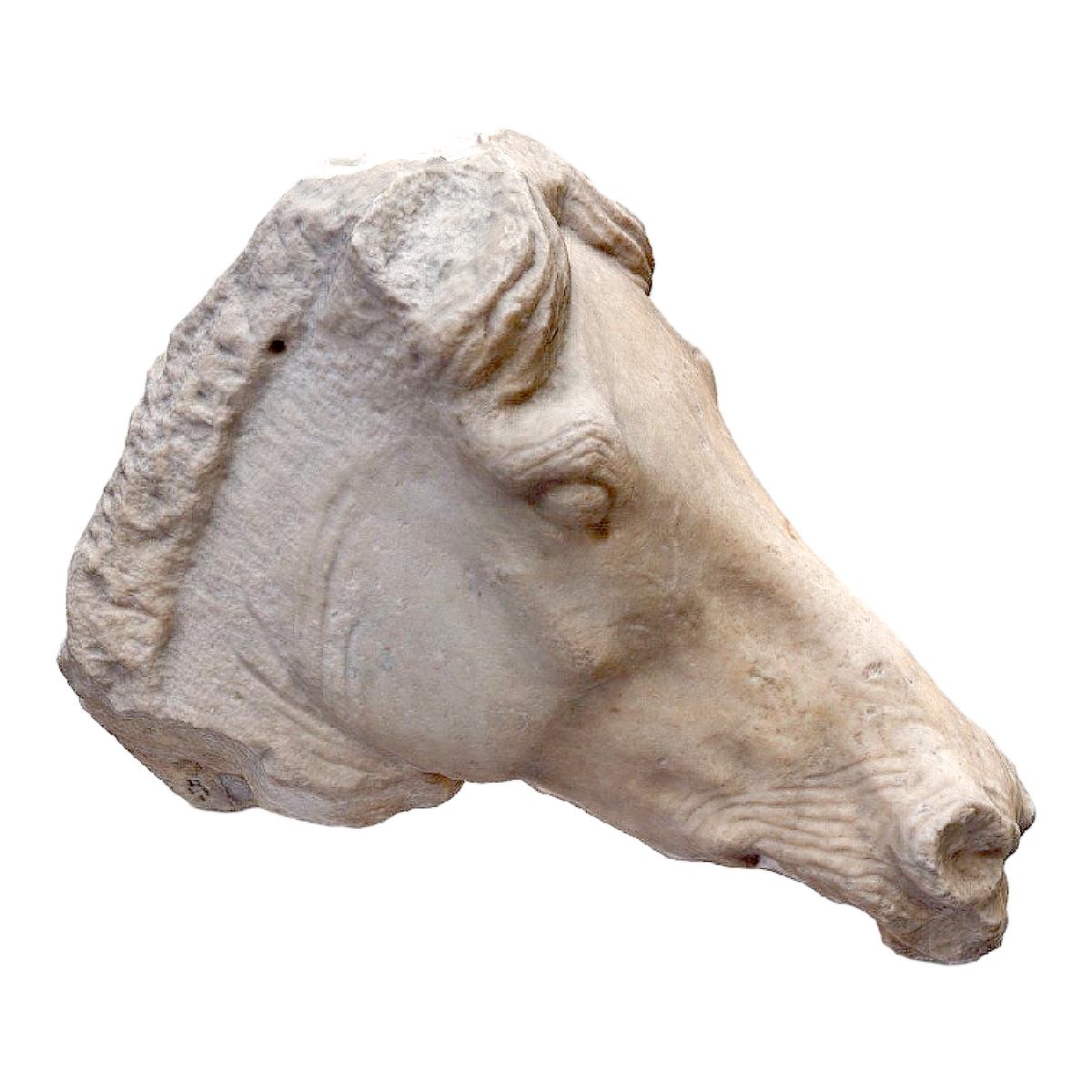 Horse Head Marble Carving