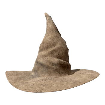 Harry Potter (Sorting Hat)