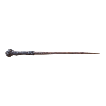 The Wand of Harry Potter