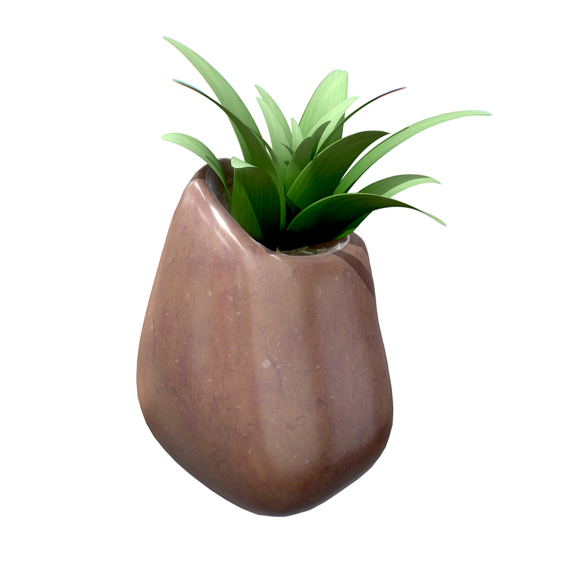 potted yucca plant