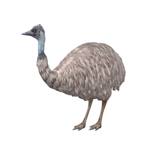 Emu