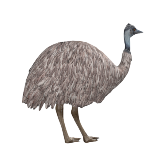 Emu