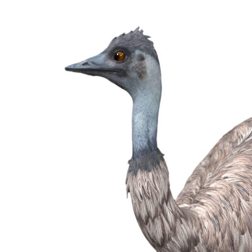 Emu
