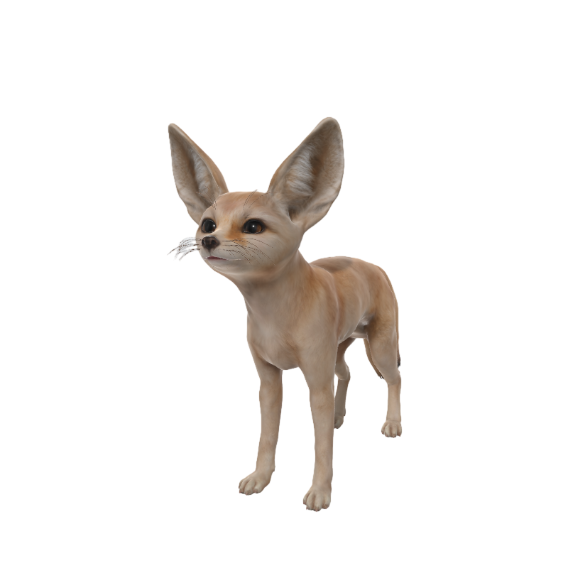 Animated 3D Model Wild Fox AR Model
