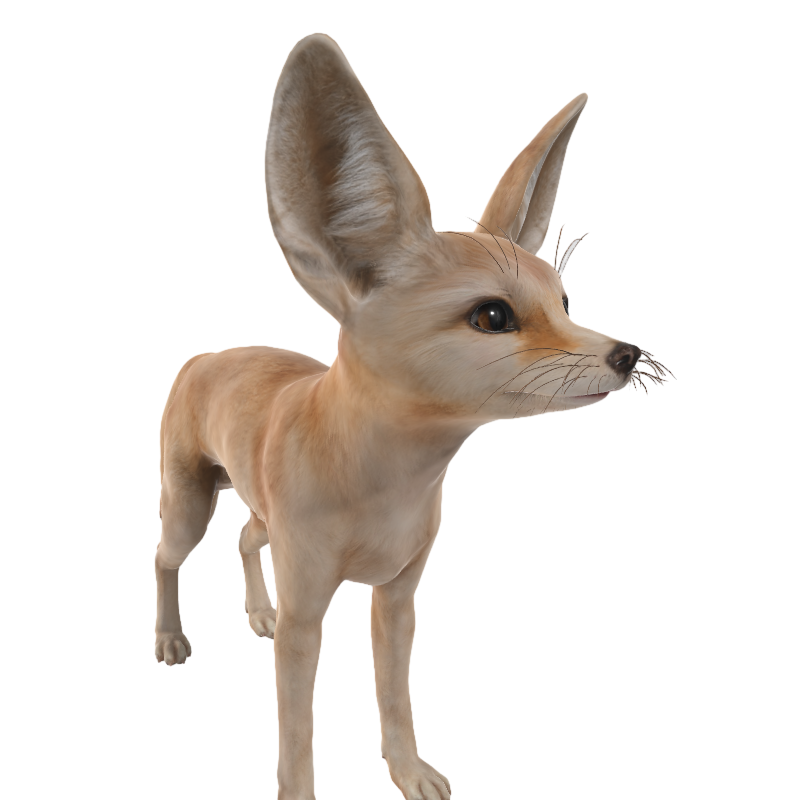 Animated 3D Model Wild Fox AR Model