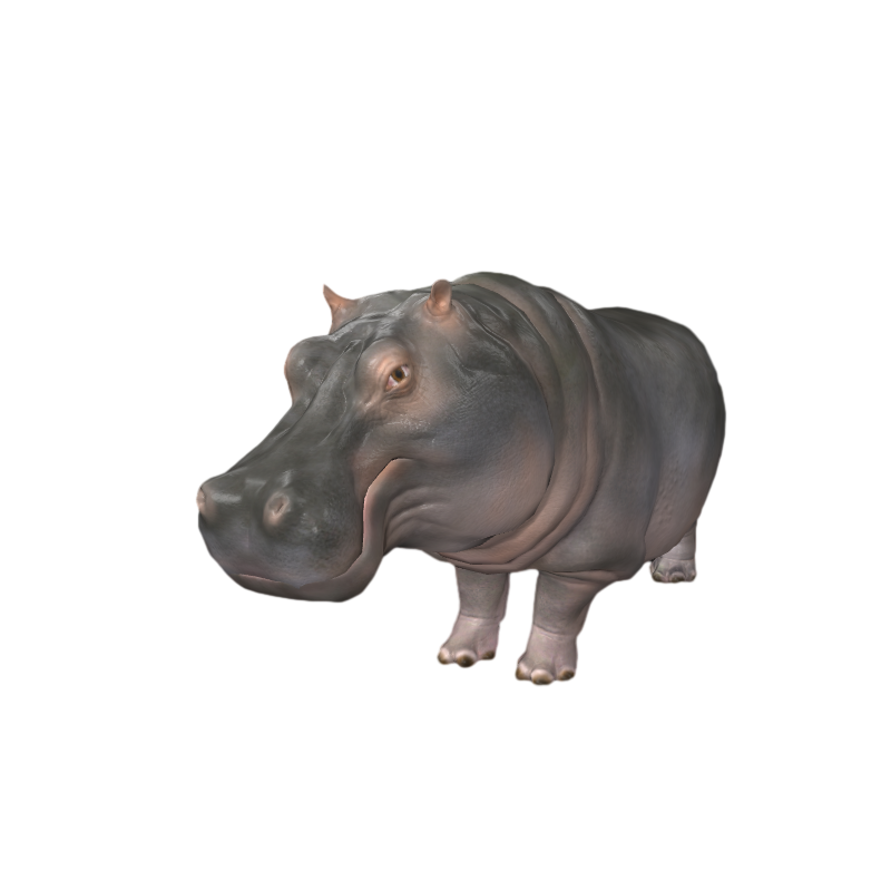Realistic Hippo Beast AR Animation 3D Model