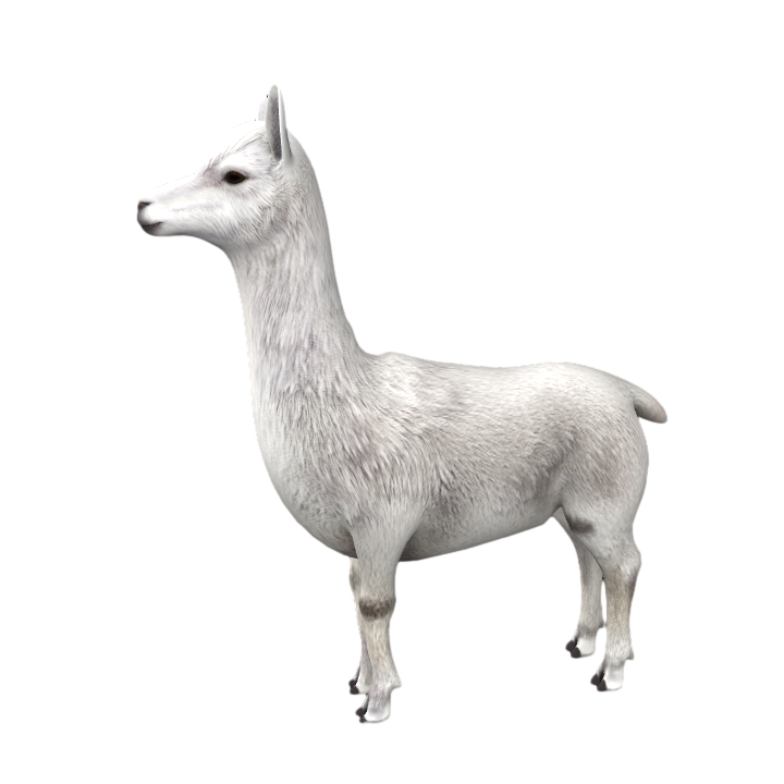 Realistic Alpaca Wildlife AR Animation Model