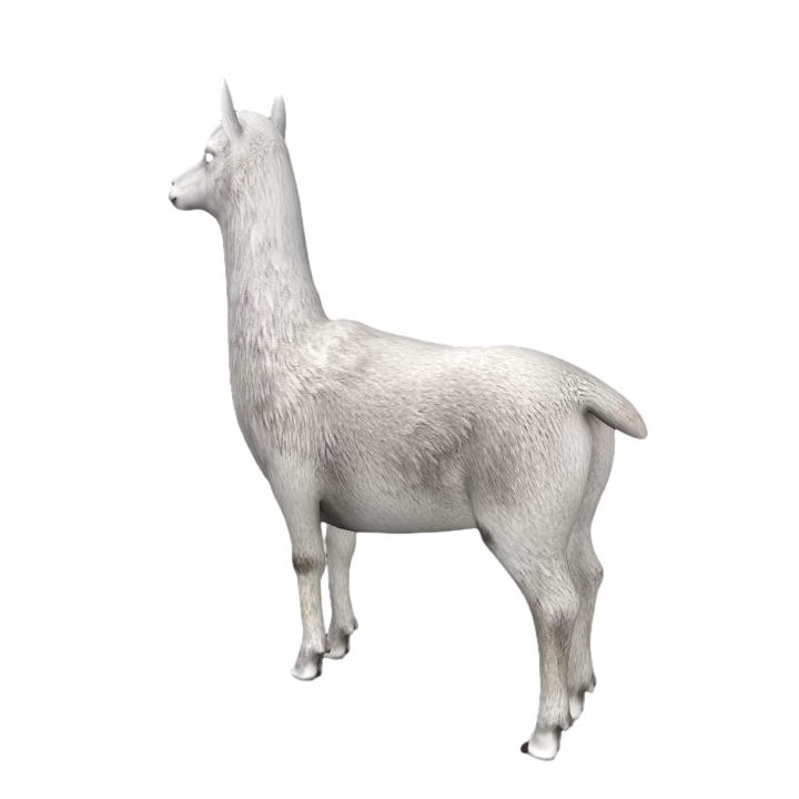 Realistic Alpaca Wildlife AR Animation Model