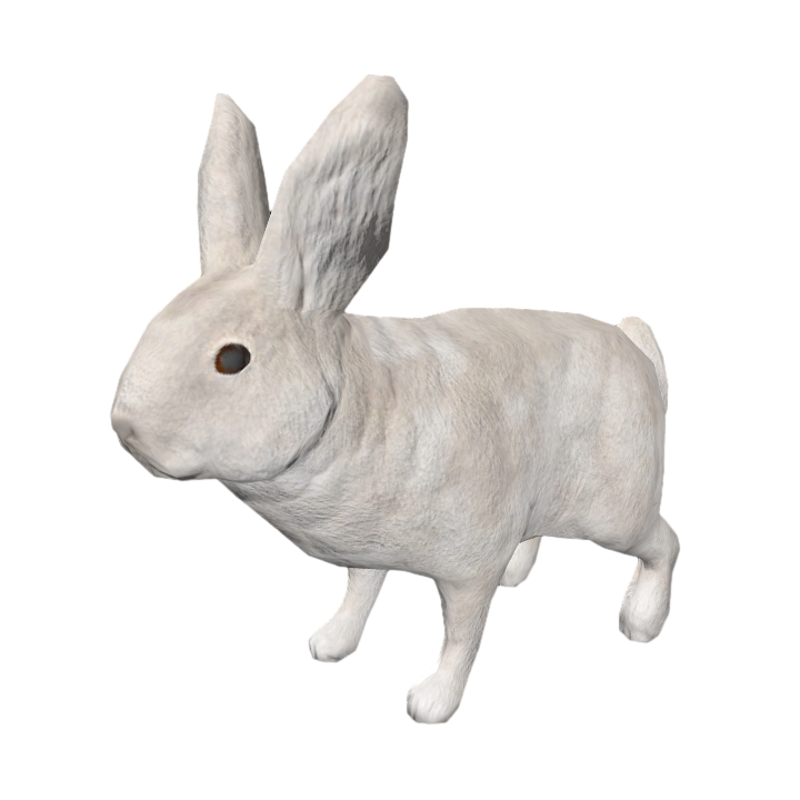 White Rabbit Next Generation 3D Animation Model