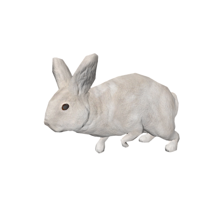 White Rabbit Next Generation 3D Animation Model