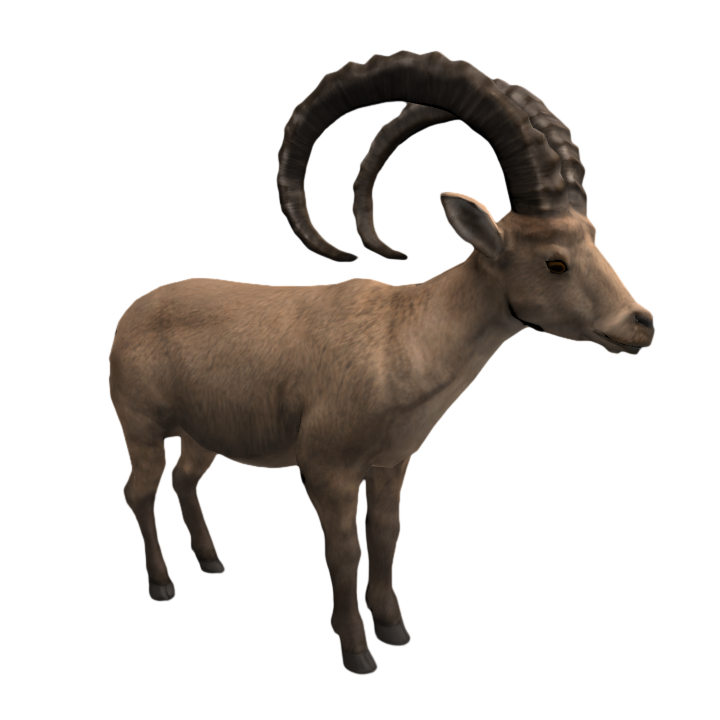 Realistic prairie long-horned antelope animation PBR model