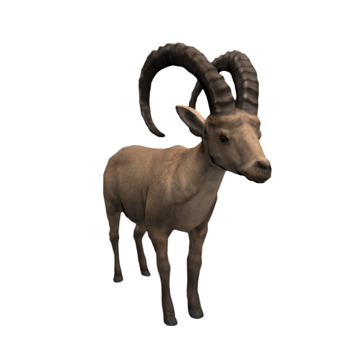 Realistic prairie long-horned antelope animation PBR model