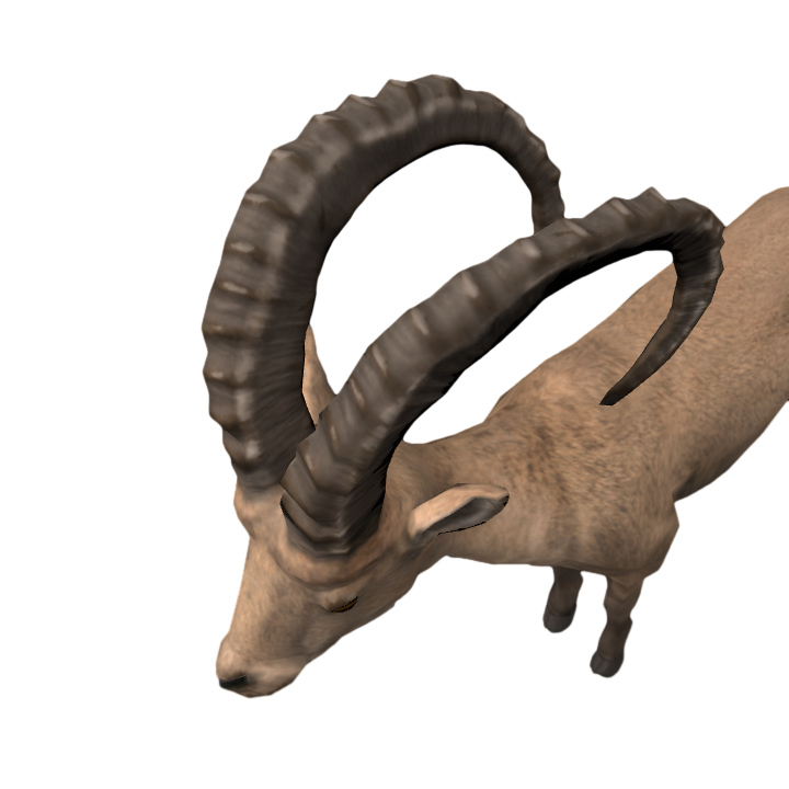 Realistic prairie long-horned antelope animation PBR model