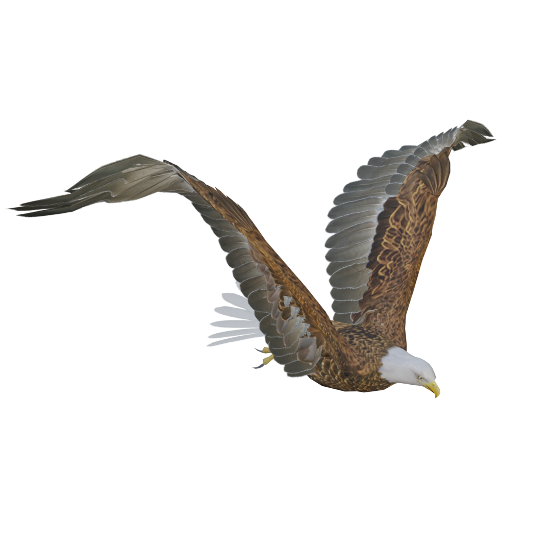 Flying Eagle Eagle Sculpture 3D animation model