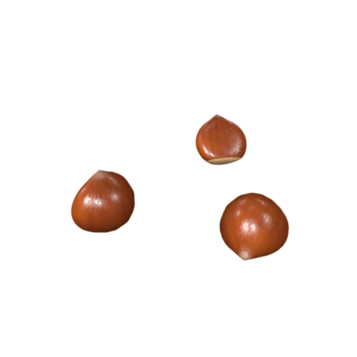 Chestnut chestnut fresh fruit and vegetable 3D model