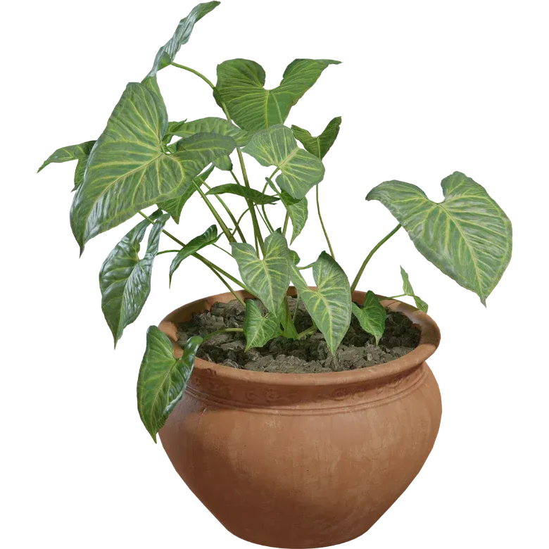 Modern Flower Potted Plant AR Model