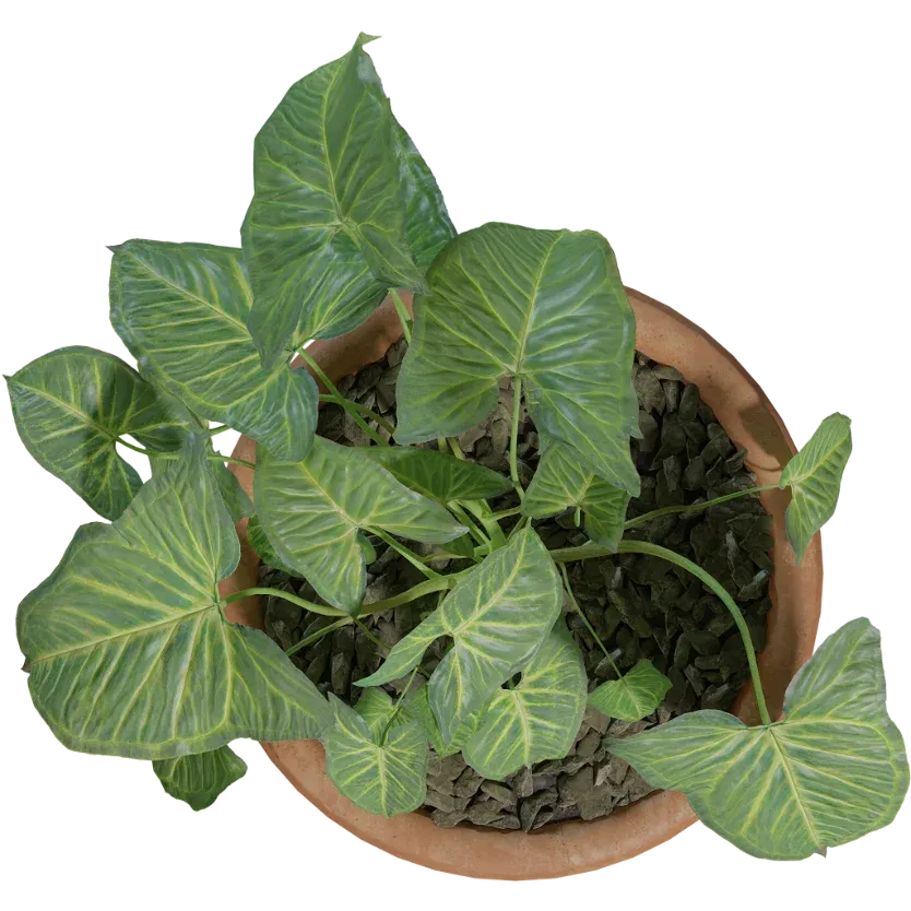 Modern Flower Potted Plant AR Model