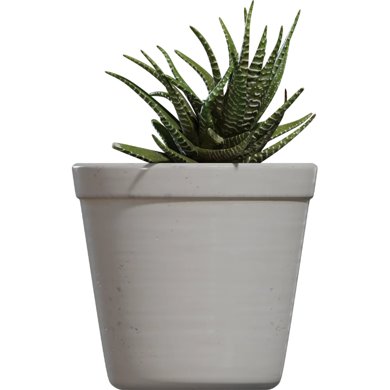 Landscape sketch plant aloe potted model