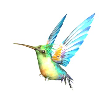 Hovering take off colorful hummingbird 3D model
