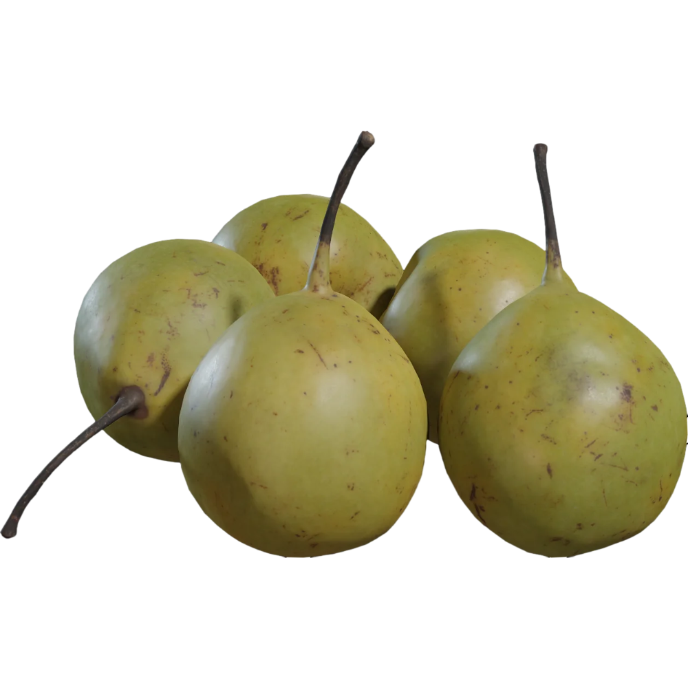 Food Vegetable Fruit Pear 3D Model