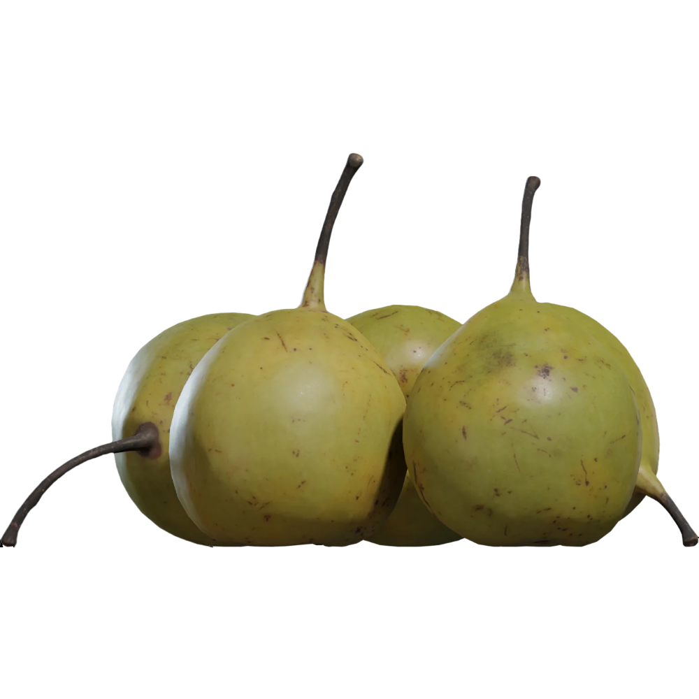Food Vegetable Fruit Pear 3D Model