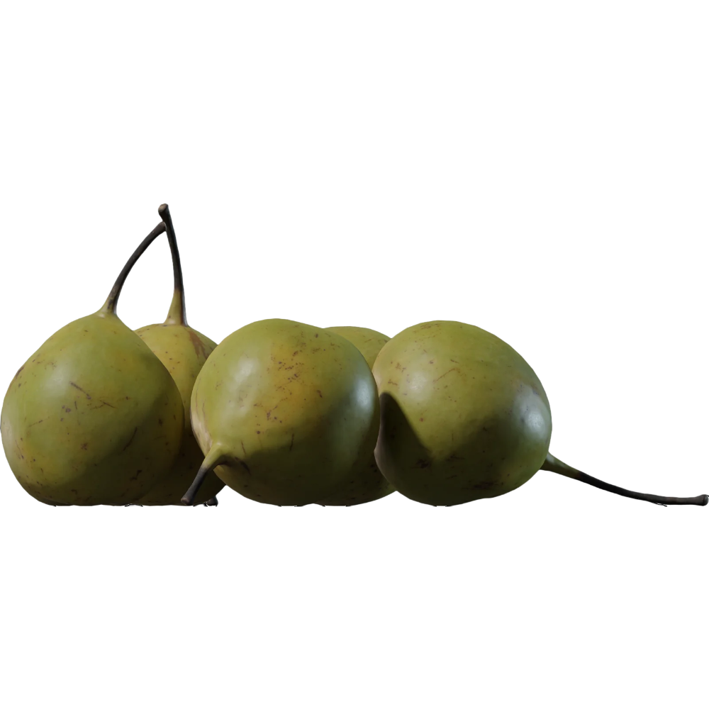Food Vegetable Fruit Pear 3D Model