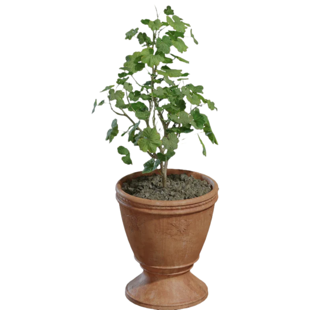Potted plant sketch decorative plant 3D model